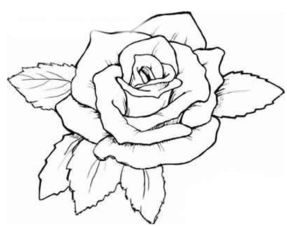 画玫瑰花的简笔画 用颜料画玫瑰花的简笔画