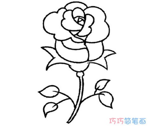 玫瑰花的简笔画 玫瑰花的简笔画怎么画最好看又简单