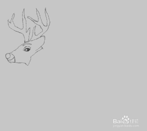圣诞老人的鹿怎么画 圣诞老人的鹿怎么画可爱的