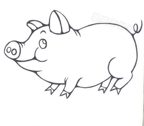 画猪的简笔画 画猪的简笔画步骤字母