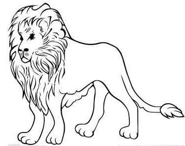 怎么画狮子好看又简单 怎么画狮子好看又简单漂亮