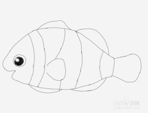 小丑鱼怎么画 小丑鱼怎么画最简单可爱