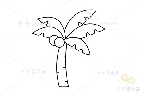 椰子树怎么画简单又好看 椰子树怎么画简单又好看