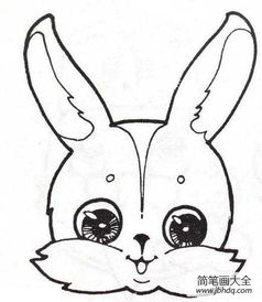兔子可爱简笔画 小兔子简笔画呆萌