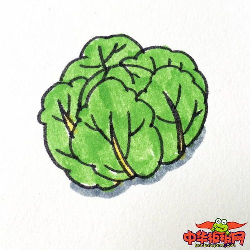 50种蔬菜简笔画带颜色 蔬菜大全简笔画带颜色
