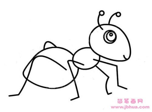 蚂蚁简笔画图片彩色 蚂蚁简笔画图片彩色简单