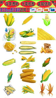 玉米粒简笔画 玉米粒简笔画图片彩色