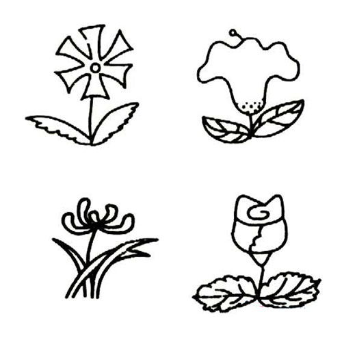 各种花朵怎么画 简单图片
