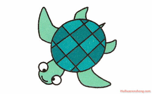 海龟简笔画带颜色 海龟简笔画带颜色大全儿童画