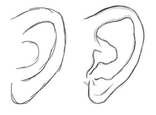 3像耳朵的简笔画 3像耳朵的简笔画大全