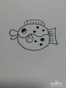 小丑鱼简笔画 小丑鱼简笔画彩色
