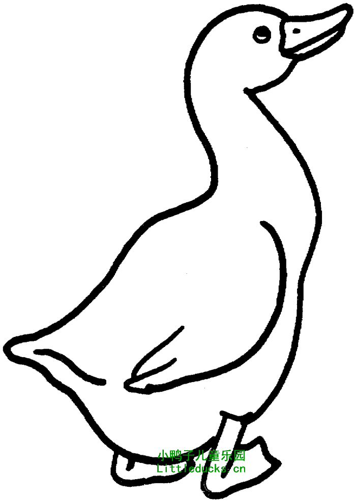 鹅的简笔画 鹅的简笔画图片大全可爱简单