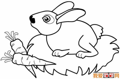 学画兔子 简笔画 学画兔子简笔画儿童画