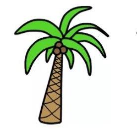 椰子树怎么画简单又好看 椰子树怎么画简单又好看