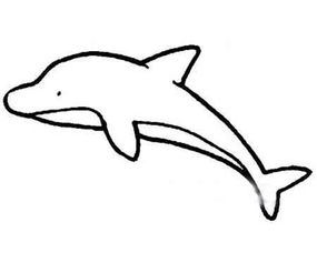抹香鲸简笔画 抹香鲸简笔画大王乌贼
