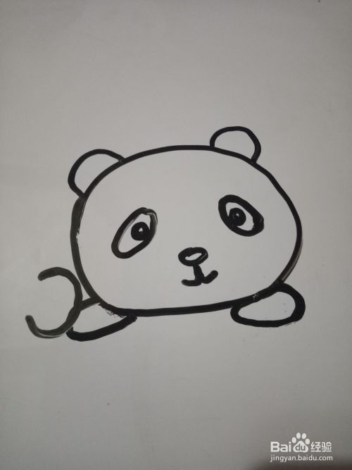 小熊猫的简笔画 小熊猫的简笔画图