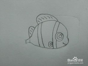 小丑鱼怎么画 小丑鱼怎么画最简单可爱
