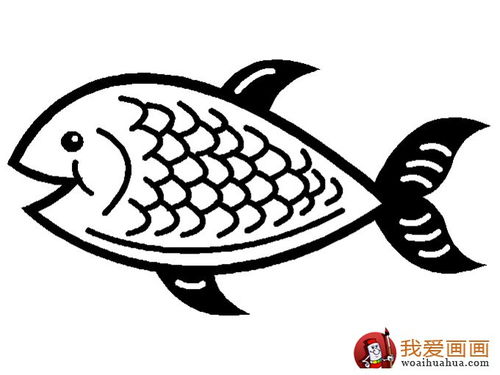各种各样的鱼简笔画 各种各样的鱼简笔画名称