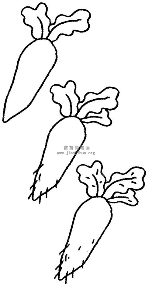 胡萝卜的简笔画 怎么画胡萝卜的简笔画