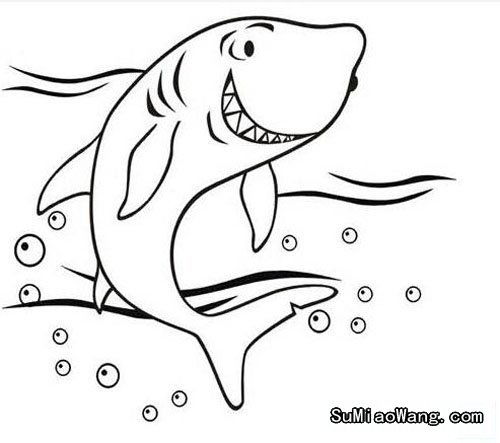 鲨鱼的简笔画 鲨鱼的简笔画图片