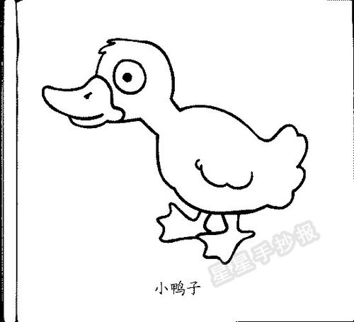 画小鸭子怎么画 小鸭子怎么画简笔画
