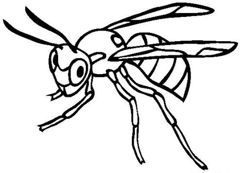 大黄蜂怎么画 大黄蜂怎么画简笔画