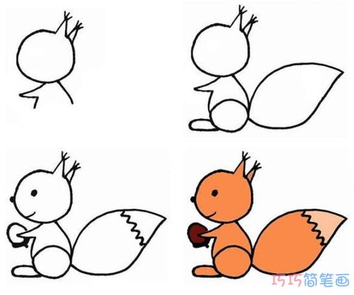 小松鼠怎么画 小松鼠怎么画简单又可爱