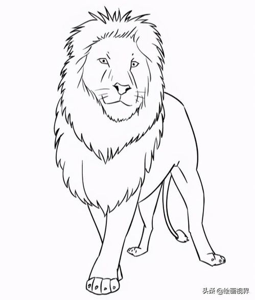 怎么画狮子好看又简单 怎么画狮子好看又简单漂亮