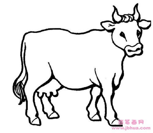 牛的简笔画图片大全 牛的简笔画图片大全涂色简单