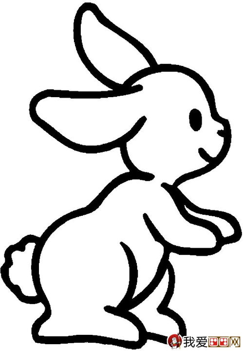 兔兔简笔画 小白兔简笔画