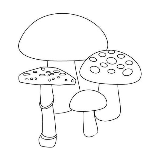 蘑菇的简笔画 蘑菇的简笔画怎么画