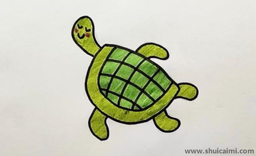 乌龟简笔画彩色 乌龟简笔画彩色作品