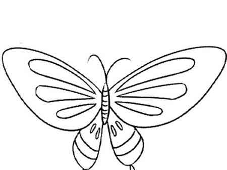 蝴蝶怎么画简笔画又漂亮 蝴蝶的画法简单又可爱