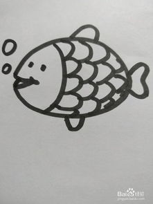 画小鱼怎么画 怎么画鱼最简单又好看