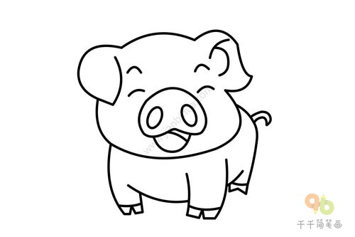 画猪的简笔画 画猪的简笔画步骤字母