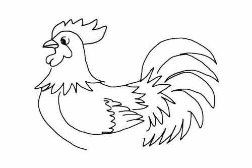 鸡的简笔画 鸡的简笔画图片大全可爱