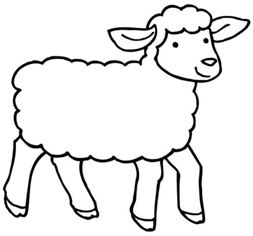 羊简笔画 羊简笔画图片