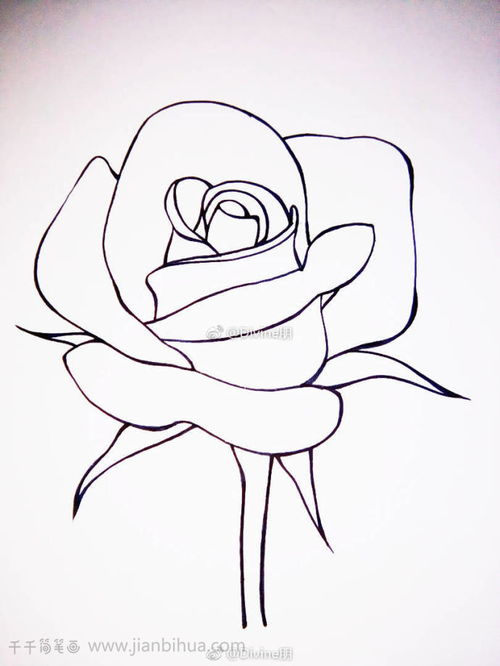 玫瑰花怎么画简笔画 玫瑰花怎么画