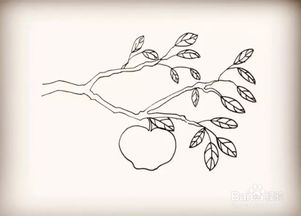简笔画苹果树 简笔画苹果树的画法