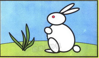 兔子图片简笔画彩色 兔子图片简笔画彩色眼睛