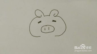 简笔画猪头 猪头的画法简笔画图片
