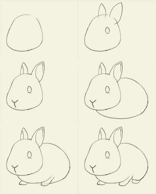 兔子简笔画 兔子简笔画彩色可爱