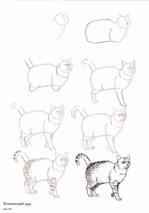 猫咪怎么画简笔画 如何画猫咪简笔画步骤