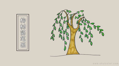 柳树怎么画柳树怎么画漂亮又简单