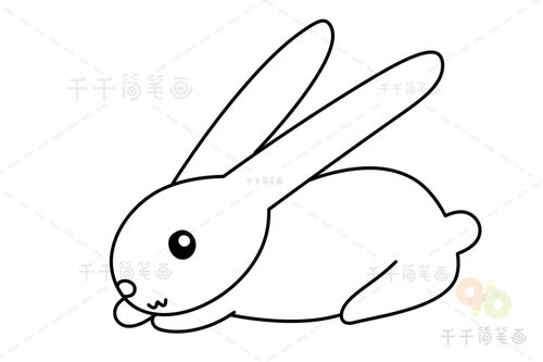 小兔子怎么画简笔画 如何画兔子简笔画步骤