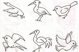 小鸟的简笔画 简单 小鸟的简笔画简单易学