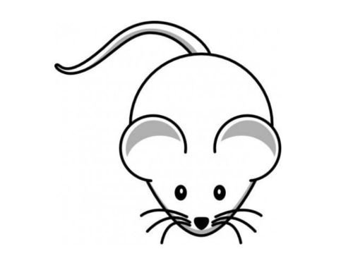 小老鼠简笔画7 2 小老鼠简笔画可爱