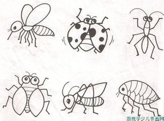 昆虫类简笔画 昆虫类简笔画儿童图片大全