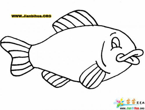 幼儿画鱼的简笔画 幼儿画鱼的简笔画图片