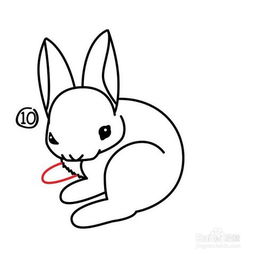 小白兔怎么画 小白兔怎么画简单好看